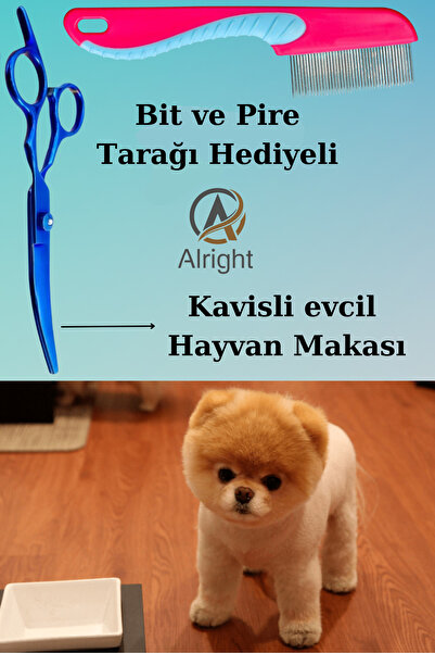Alright Kavisli Mavi Profesyonel Evcil Hayvan Köpek Tıraş ve Tasarım Makası P...