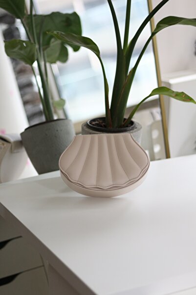 Moom Bag Women's Cream Oyster Mold Chain Shoulder Bag