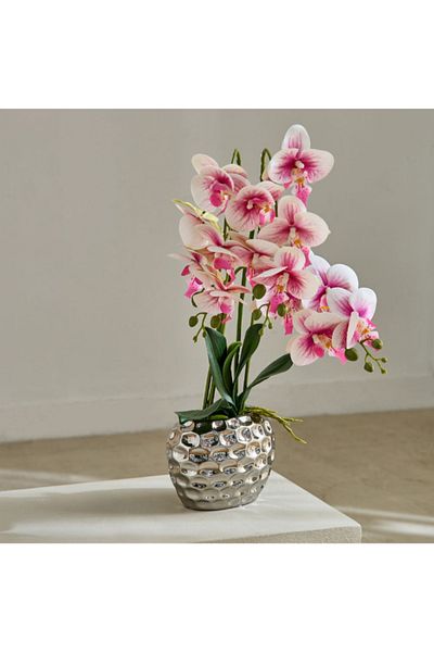 Home Box Areos Orchid Flower Arrangement with Hammered Ceramic Pot - 52 cm
