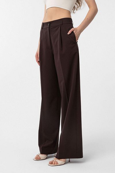 Antioch Brown Pleated Women's Trousers