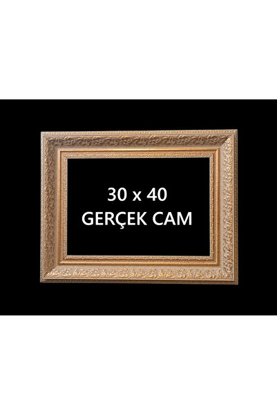 aylahobisanat 30x40  Poster Resim Evrak Çerçevesi  Gerçek Cam