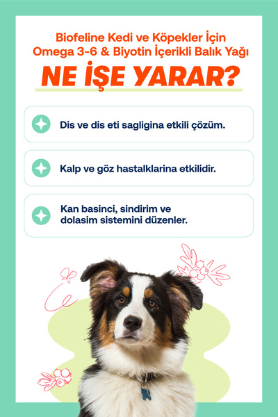 BioFeline Köpekler İçin Omega 3-6 ve Tüy Sağlığı Destek Seti – 200ml Balık Yağı + 50ml Biotinli Damla