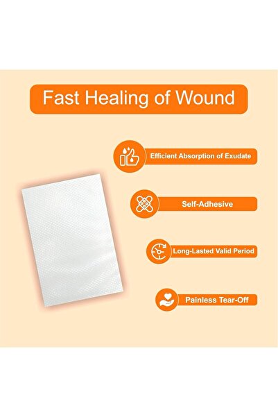 Silva Tiger Pain Relief Plaster - 2 Pieces Size (14×10) | Long-Lasting Back, Muscle & Joint Pain Rel