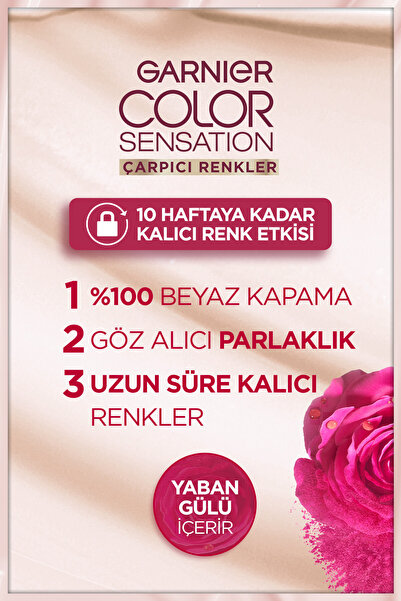 Garnier Çarpıcı Renkler, 1.0 Ekstra Yoğun Siyah, Kalıcı Krem Saç Boyası Seti - %100 Beyaz Kapama Ürünü