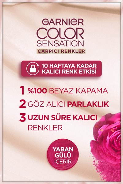 Garnier Çarpıcı Renkler, 5.62 Parlak Lal Kızılı, Kalıcı Krem Saç Boyası, Demikit