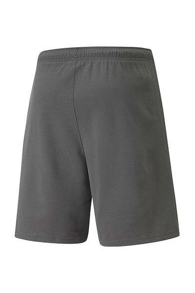 Puma Pánské kraťasy Teamrise Short70494213 šedé