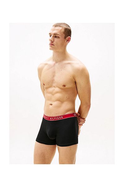 Tommy Hilfiger 3P Trunk Wb - Car Logging Bag
