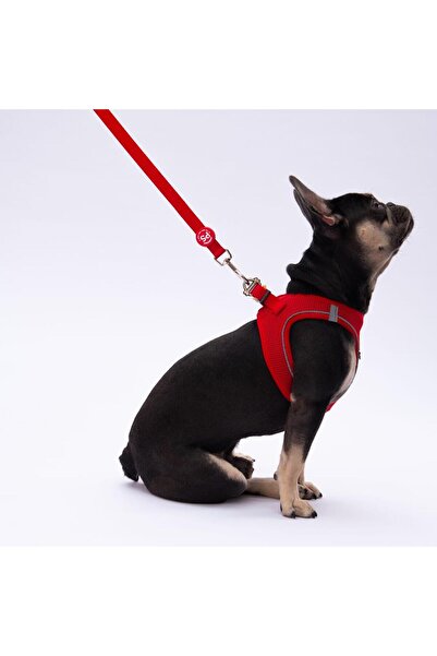 Pawstar Kırmızı Leash Kedi Köpek Sevk & Gezdirme Kayışı Köpek Uzatma Tasması