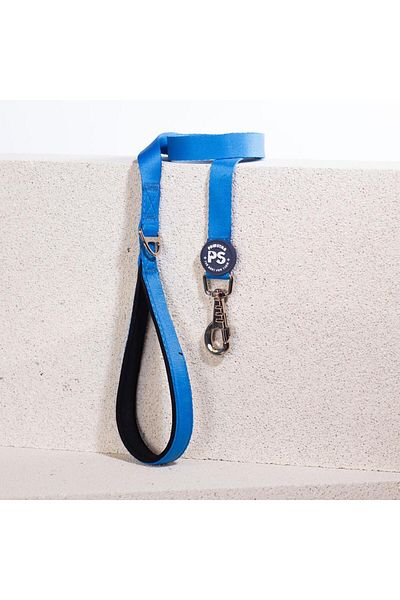 Pawstar Blue Leash Cat Dog Dispatch & Travel Strap Dog Extension Leash