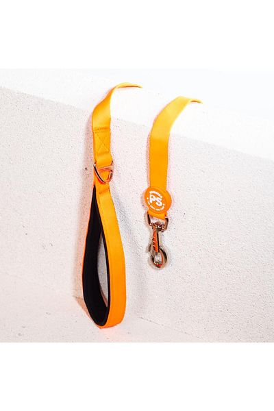 Pawstar Neon Orange Leash Cat Dog Leash & Leash Dog Extension Leash