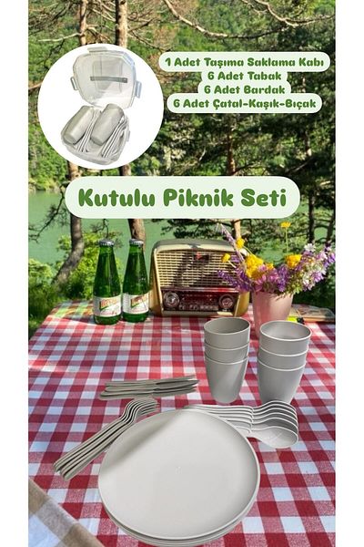 Bayev Picnic Set for 6 People - Picnic Set with Carrying Storage Bag - 31 Piece Picnic Organizer Gray