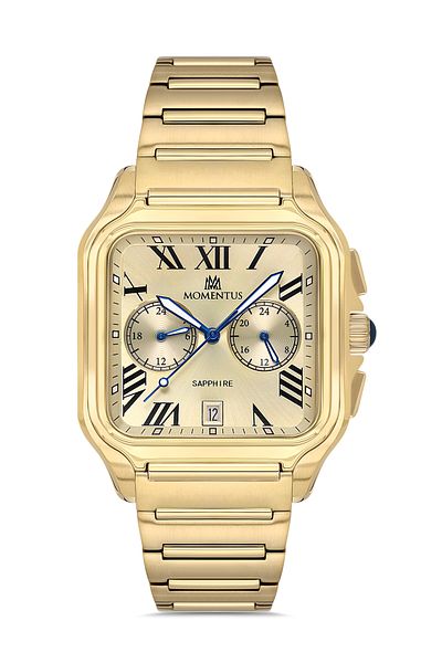 Momentus TM348G-08SG Men's Wristwatch