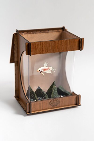 EMSE Beta Ahşap Mini Akvaryum Hediyelik Balık Akvaryumu