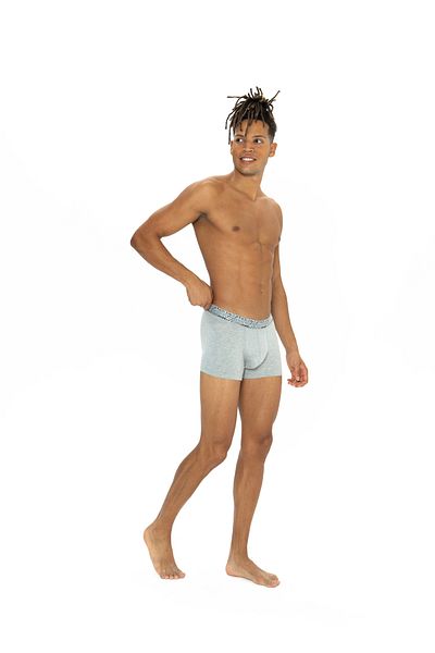 U.S. Polo Assn. Men's Black - Navy Blue - Gray Melange 3-Piece Boxers