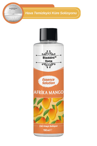 BlackBird Home Afrika Mango Hava Temizleme Küresi Solüsyonu , Oda Koku Makine...