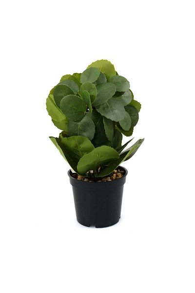 Ella Home Italia Potted Arrangement, Mini, Green, 24cm - Green, Plastic, 24cm