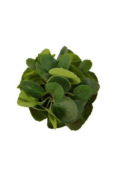 Ella Home Italia Potted Arrangement, Mini, Green, 24cm - Green, Plastic, 24cm