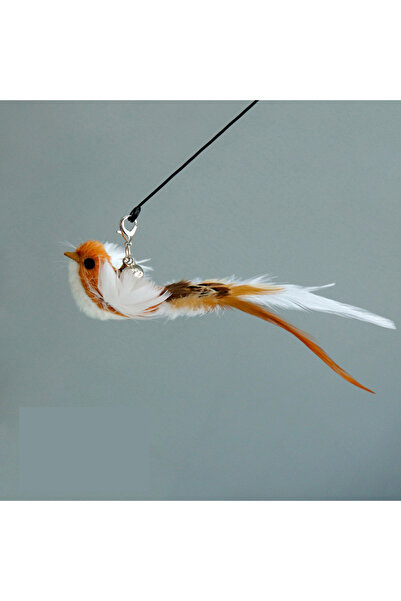 Choice عصا قطط على شكل طائر قهوة مع جرس، ملحقات ألعاب تفاعلية للقطط والقطط ال...