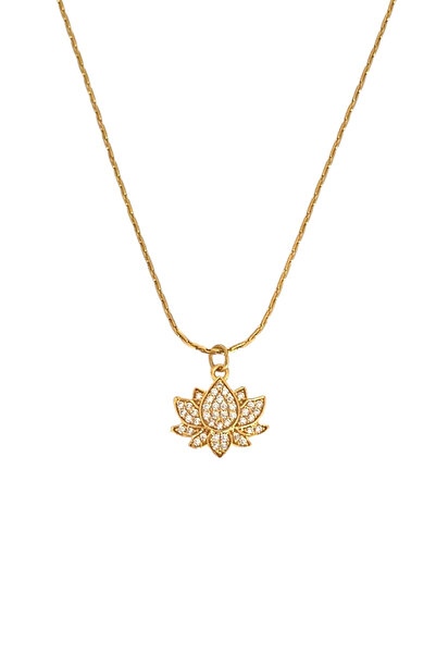 Bonnjerra Jewellery Çelik 1mm İnce Gold Hayalet Zincir Zirkon Taşlı Lotus Çiç...