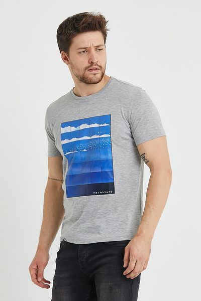 Polo State Ανδρικό μπλουζάκι με στάμπα Grey Melange
