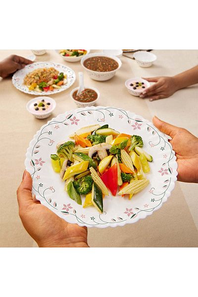 British Chef طقم عشاء أوبال وير ١٥ قطعة | آمن للاستخدام في الميكروويف وغسالة الأطباق والفريزر | طقم عشاء جارلاند - bc2011