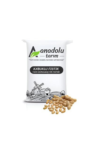 Taze Tuzlu Kabuklu Yer Fıstığı 500 G