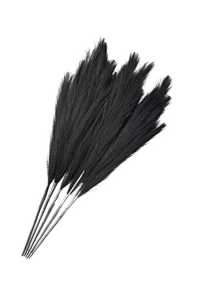 Lara Decor Siyah Pampas Tüy Demeti 5'li