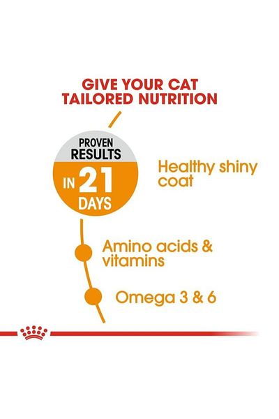 Royal Canin Dry food for hair and skin care, gray, 400g