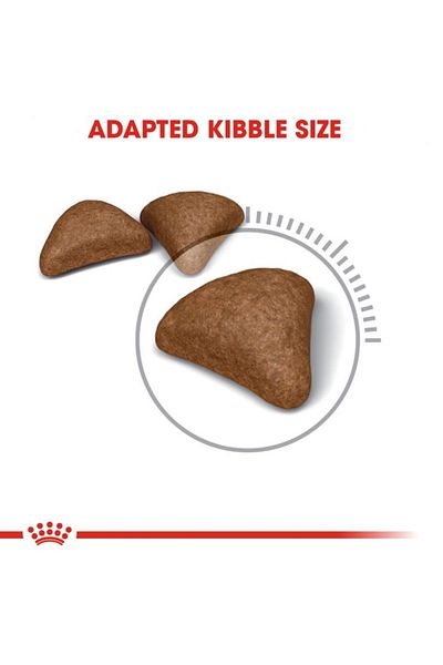 Royal Canin Hairball Care