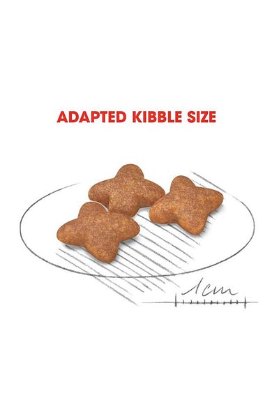 Royal Canin Small dry food 4 kg