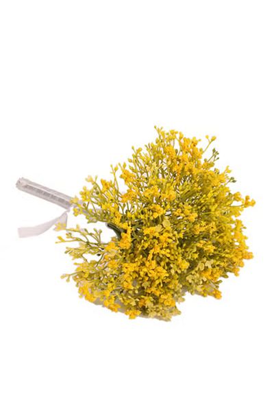 co arma Gypsophila roses for weddings, Valentine's Day and decoration