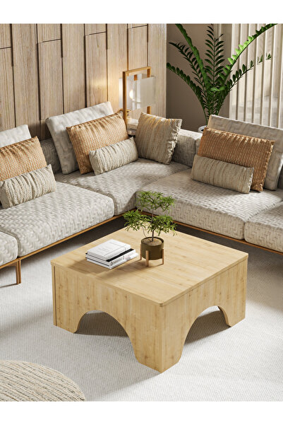 POFİTTO Defend Iskandinav Tarzı Orta Sehpa - Estetik Ve Fonksiyonel Tasarım S...