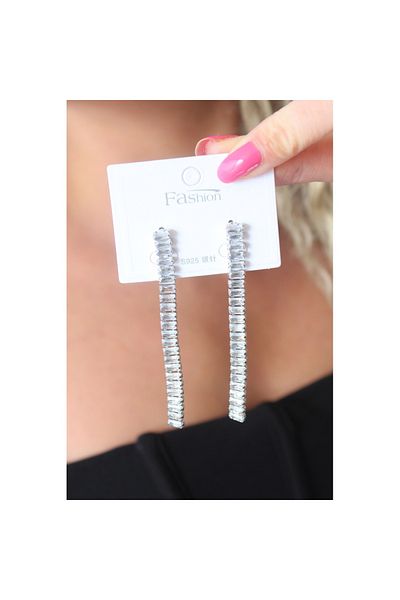 Skygo Zircon Stone Detailed Silver Women's Earrings - TJ-BKP7160