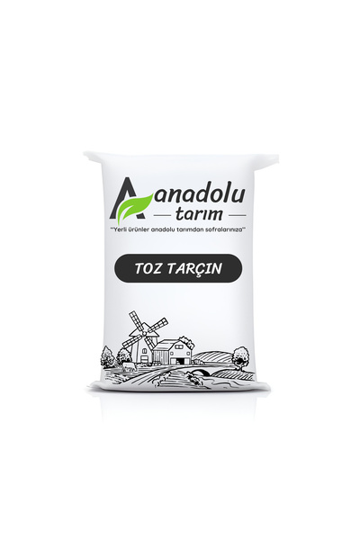 Toz Tarçın 250 gr