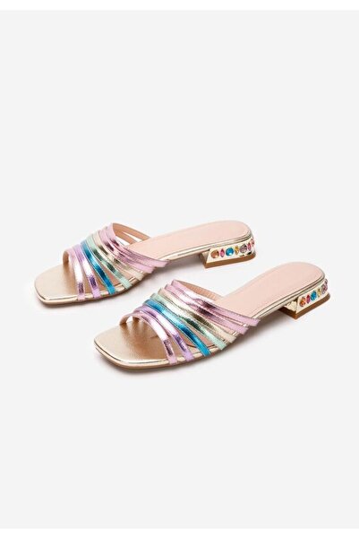 B T Shoes Elegant women's slippers Erinna multicolor