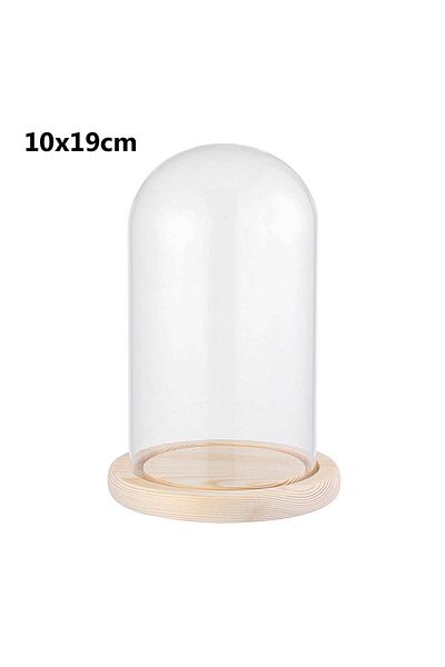 Choice 10x19cm Glass Cloche Jar Display Stand Cover with Wooden Base Terrarium Bottle Acrylic Dust Cover Di