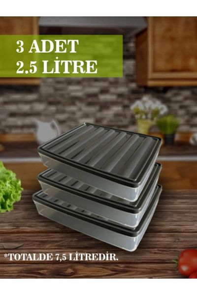 VİZYON Food Storage Container with Lid Refrigerator Organizer Set Refrigerator Organizer Icebox Storage Container