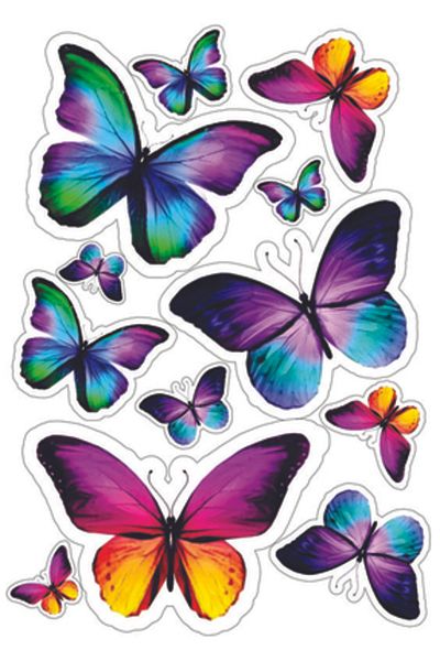 Sticksy Butterfly Stickerphone Laptop Notebook Tablet Notebook Flask Sticker Label St379