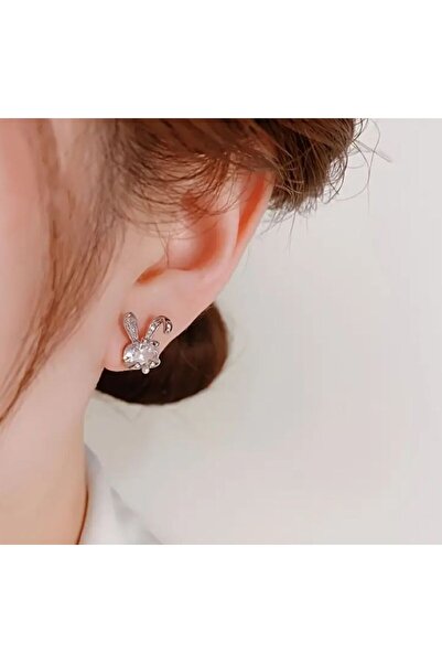 Dgt Luxury Cute Rabbit Earrings with Zircon Stone Detail