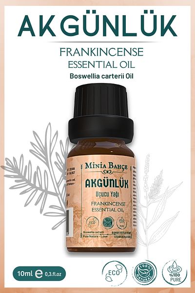 Minia Bahçe Bitki ve Sanat Atölyesi Frankincense Essential Oil 10ml – 100% Pure and Natural
