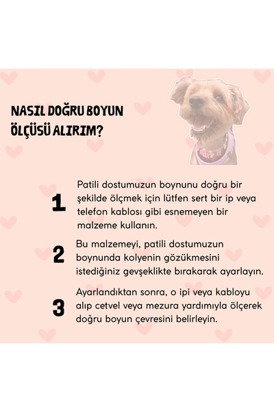 BEAD COLLAR Gökkuşağı Renkli Kaktüs Charmlı Kedi Köpek Tasma Kolye