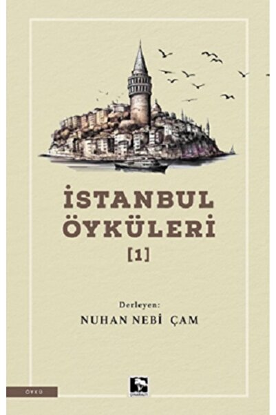 Çınaraltı Yayınları İstanbul Öyküleri-1 kitabı güncel Nuhan Nebi Çam Edebiyat...