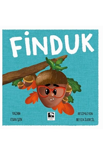 Çınaraltı Yayınları Finduk kitabı güncel Esra Şen Çocuk ve Gençlik Kitapları ...