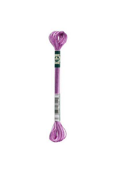 Dmc Floss S553 Laundry Silk 2 Pcs