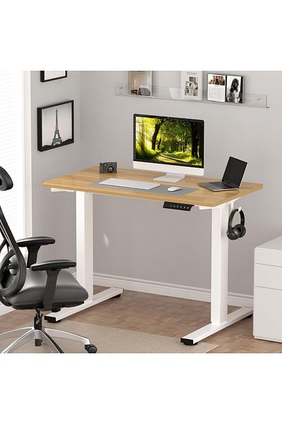 Mahmayi FlexiSpot Ergonomic Electric Standing Desk 120x75 cm Sturdy and Durable Desk - Coco Bolo