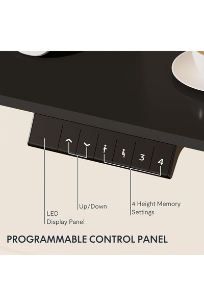 Mahmayi FlexiSpot Ergonomic Electric Standing Desk 120x75 cm Sturdy and Durable Desk - Charcoal Black