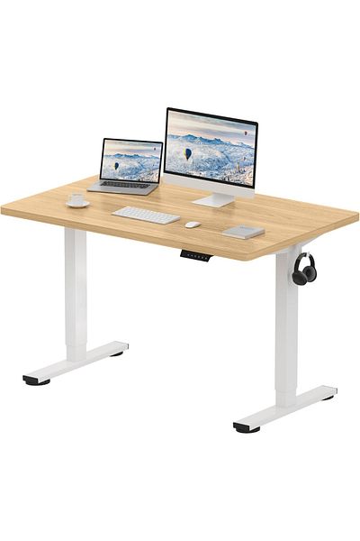 Mahmayi FlexiSpot Ergonomic Electric Standing Desk 120x75 cm Sturdy and Durable Desk - Coco Bolo