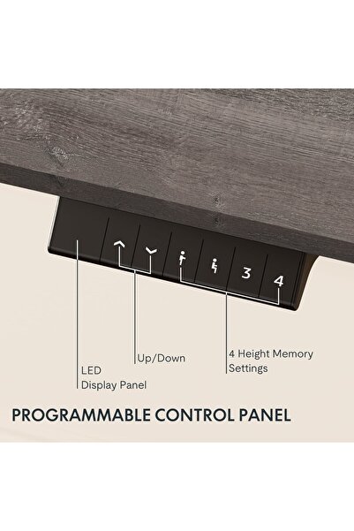 Mahmayi FlexiSpot Ergonomic Electric Standing Desk 120x75 cm Sturdy and Durable Desk - Grey Whiteriver Oak