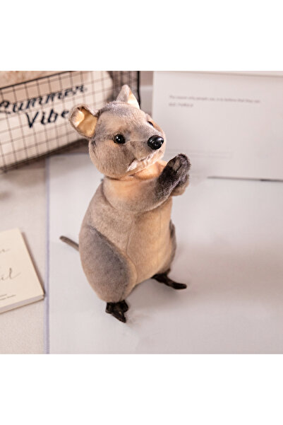 Choice حيوانات الكنغر التي يبلغ طولها 35 سم والتي تستحق الشكر على نعمتها، ألع...