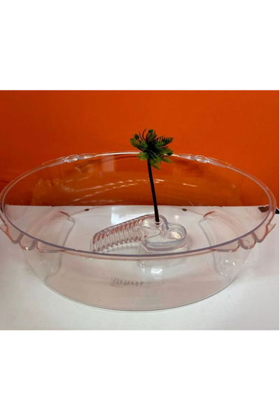 Meç Kaplumbağa Bahçesi (Oval) [33x24x9h] [Şeffaf]